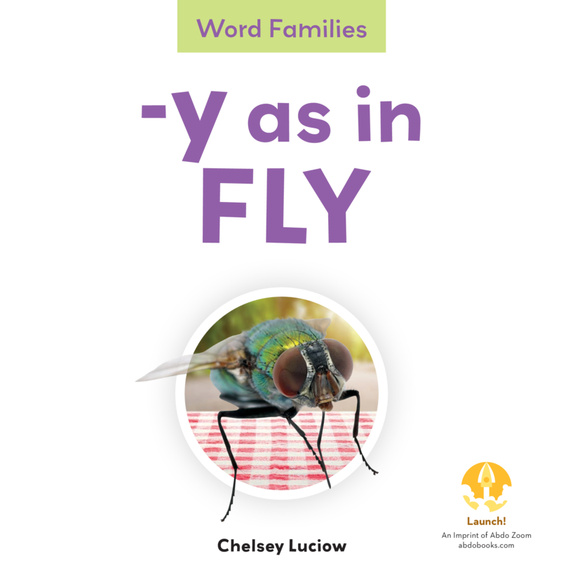 -Y as in Fly book cover