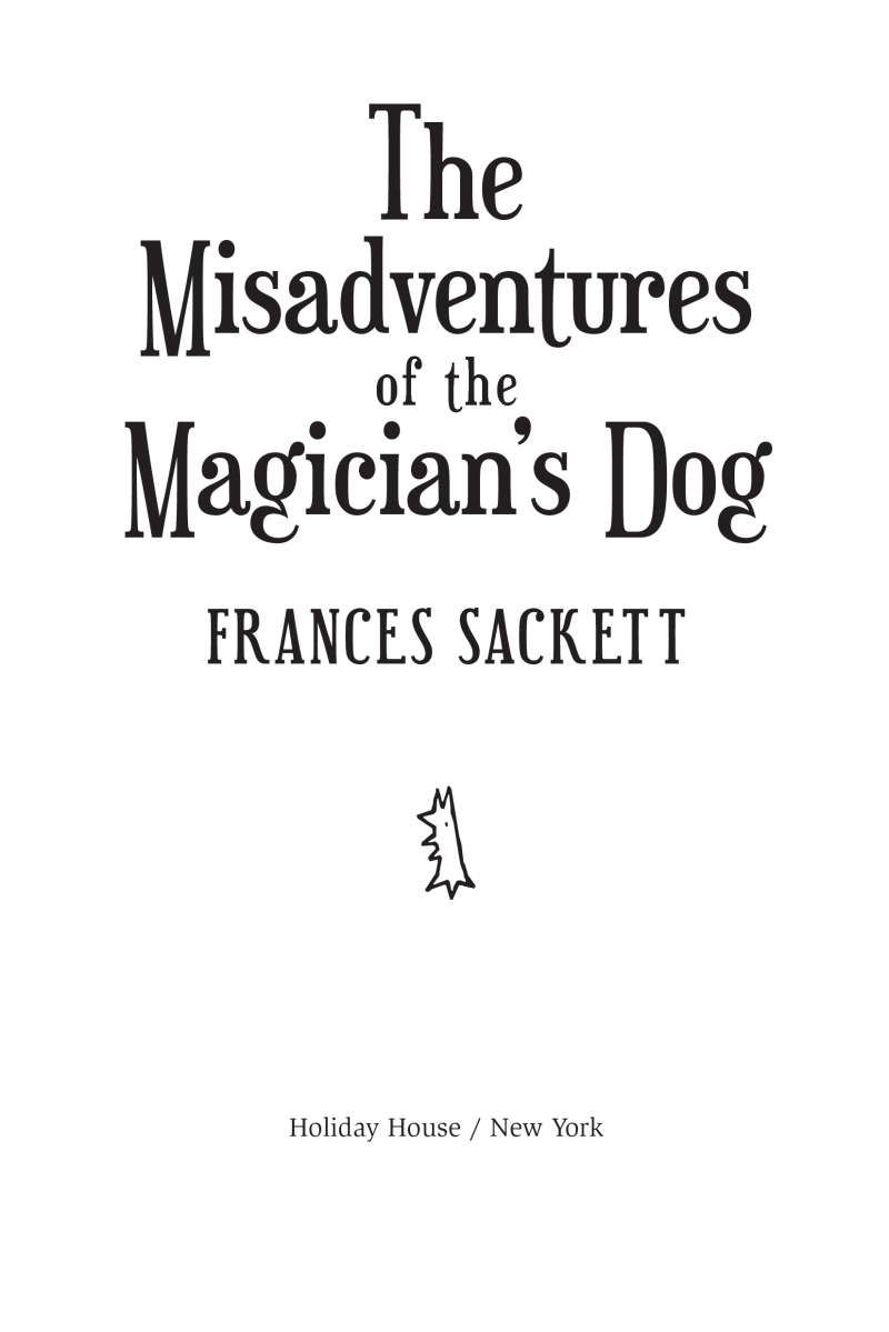 The Misadventures of the Magician's Dog book cover