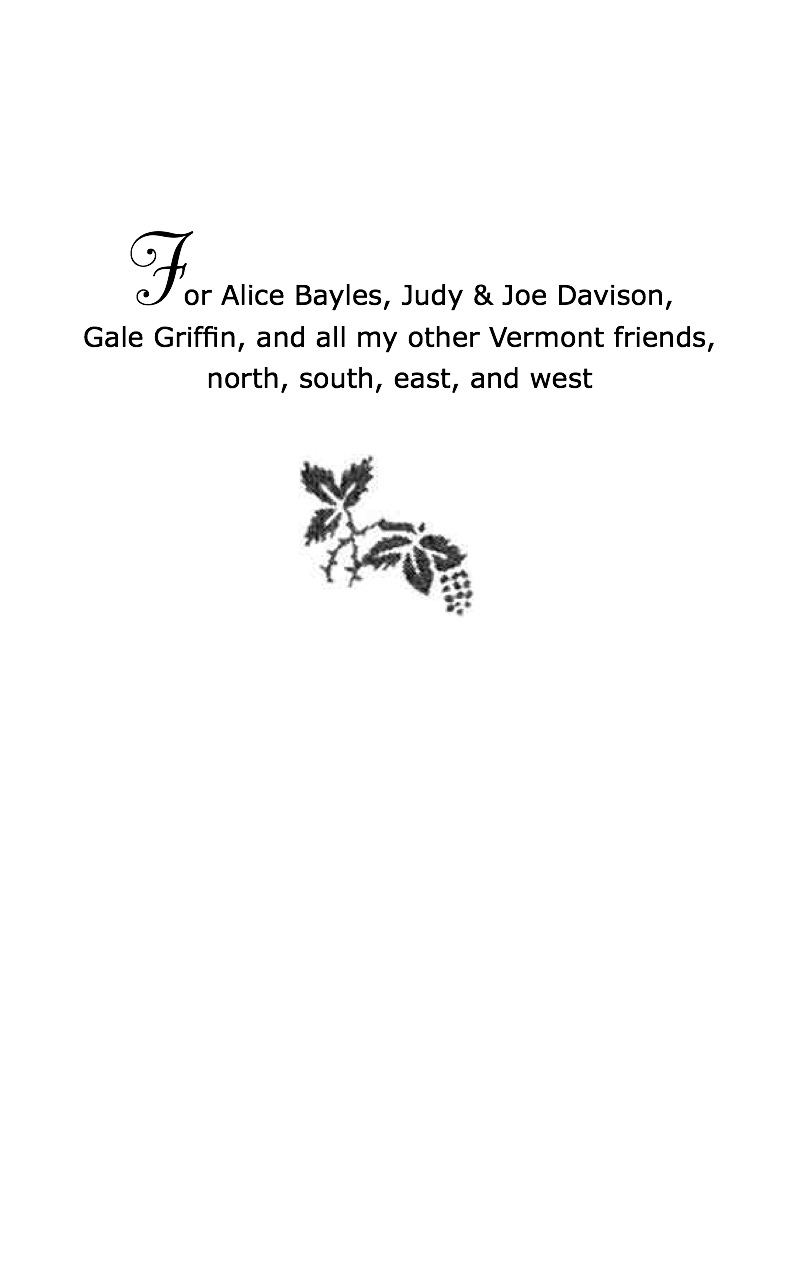 Faraway Summer book cover