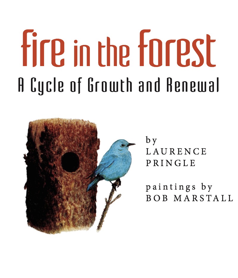 Fire in the Forest: A Cycle of Growth and Renewal book cover