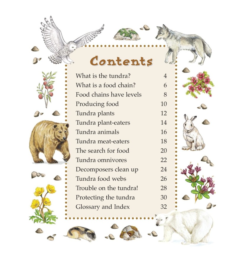 Tundra Food Chains book cover