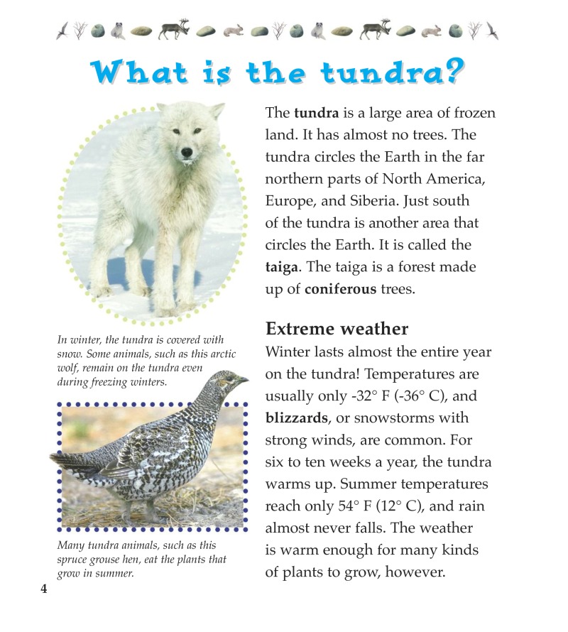 Tundra Food Chains — page 1