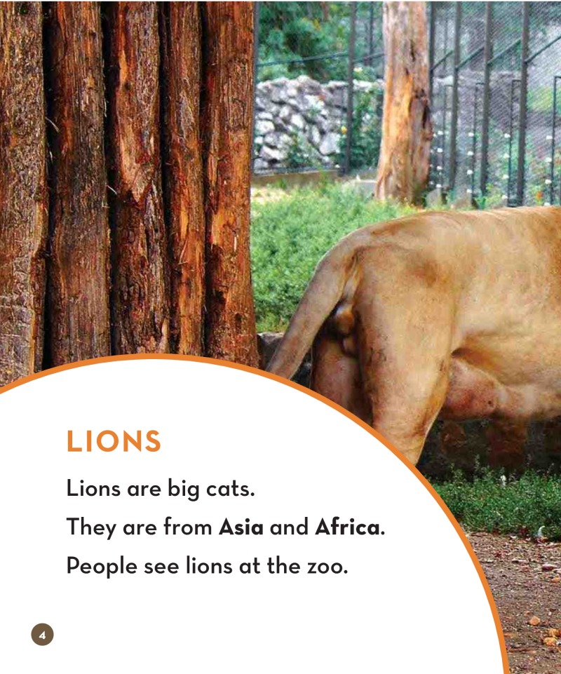 Zoo Animals: Lions — page 1