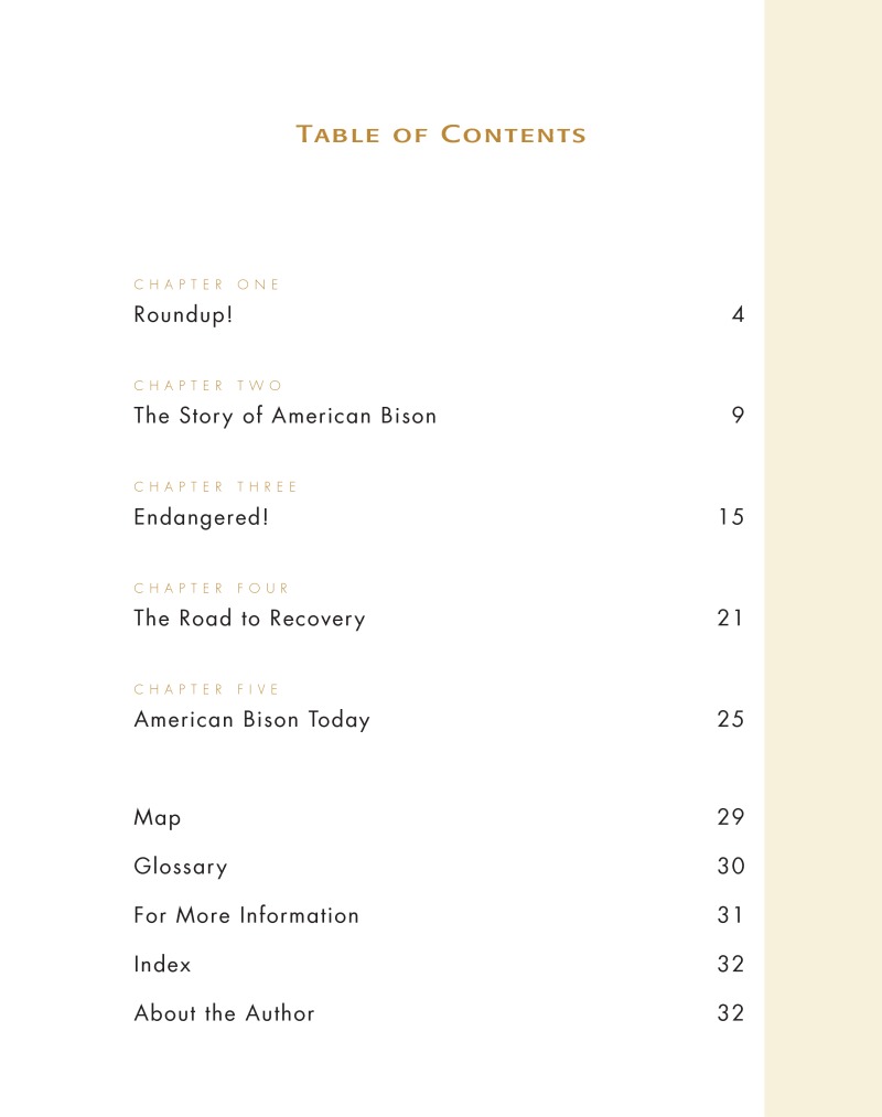 Road To Recovery: American Bison book cover