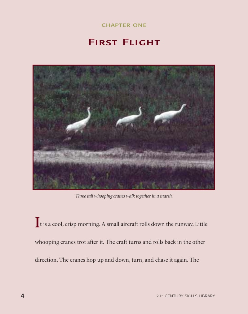 Road To Recovery: Whooping Crane — page 1