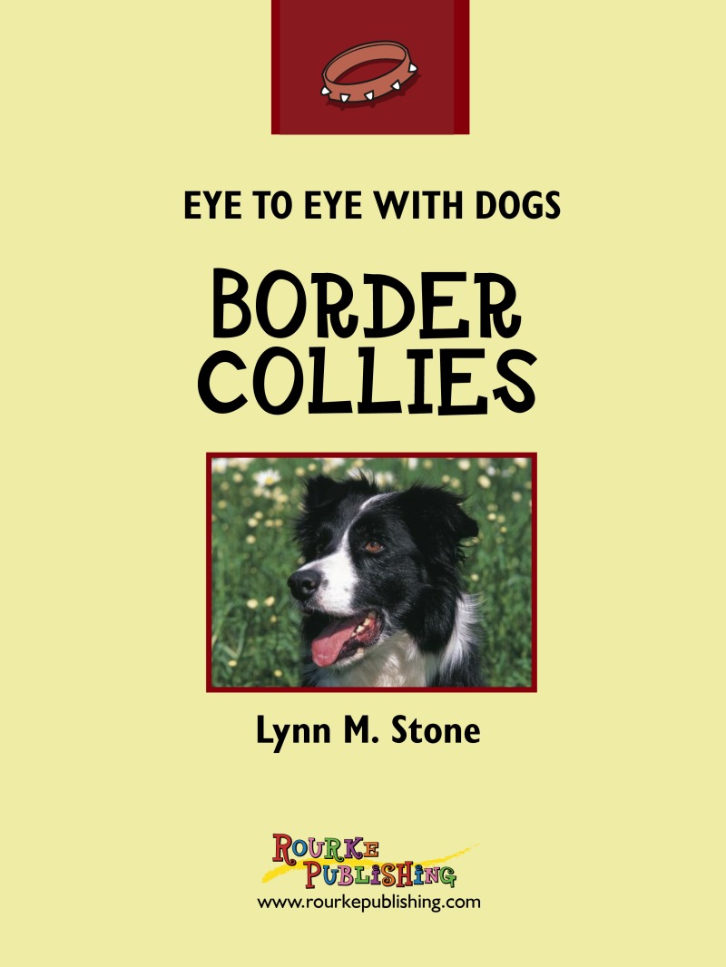 Eye To Eye With Dogs: Border Collies book cover