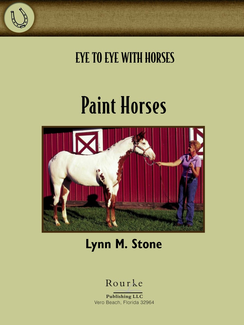 Paint Horses book cover