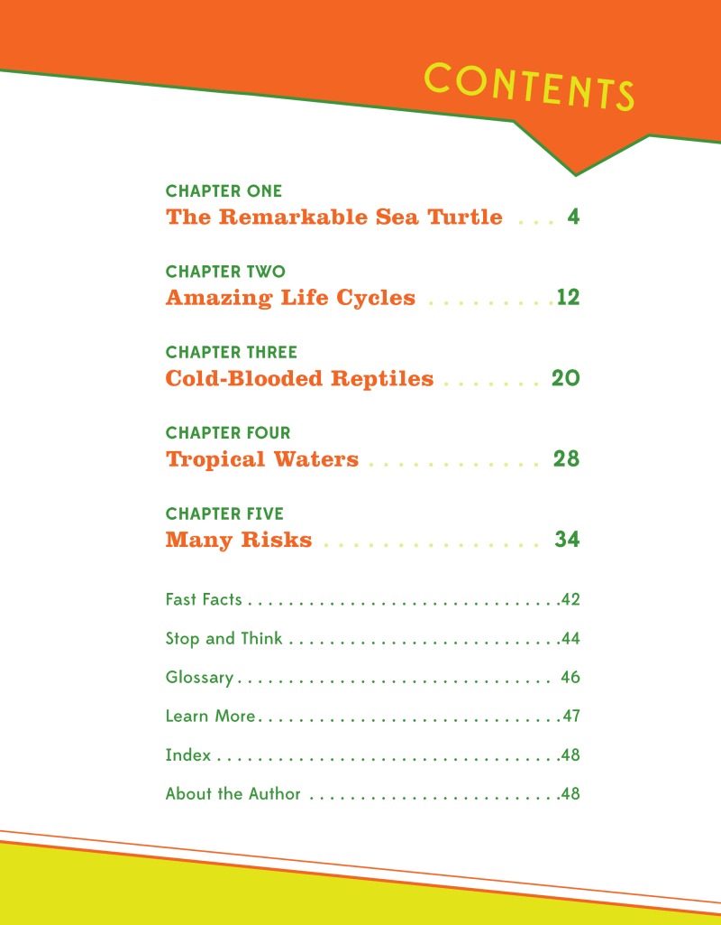 Amazing Reptiles: Sea Turtles book cover