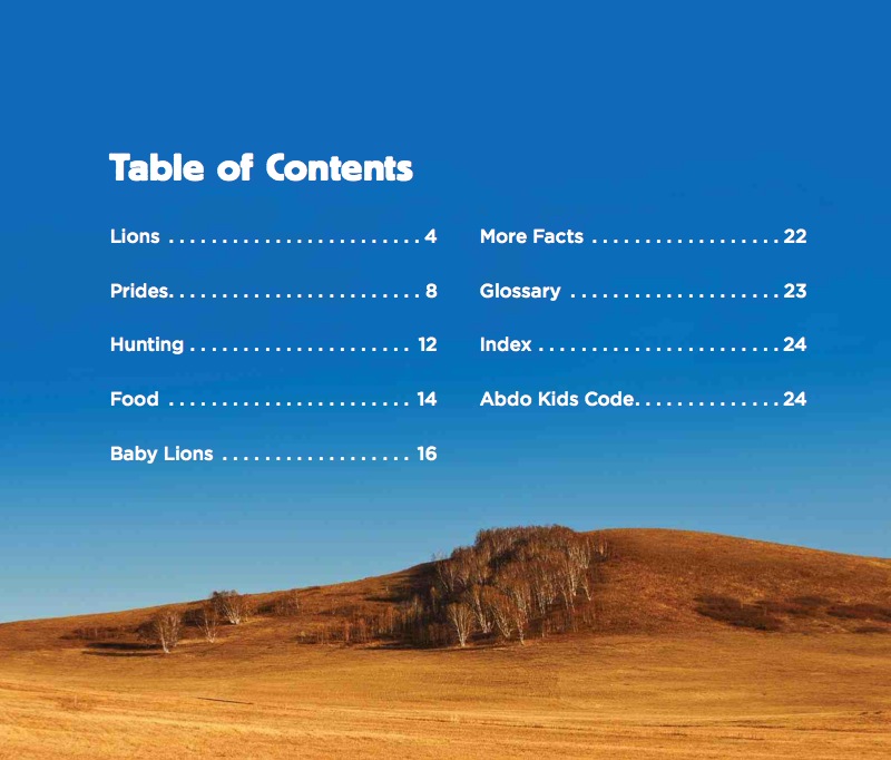 Big Cats: Lions book cover