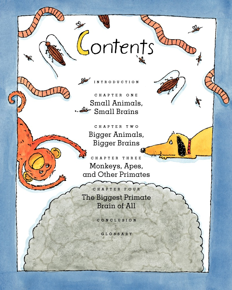 You Can't Use Your Brain If You're A Jellyfish! book cover