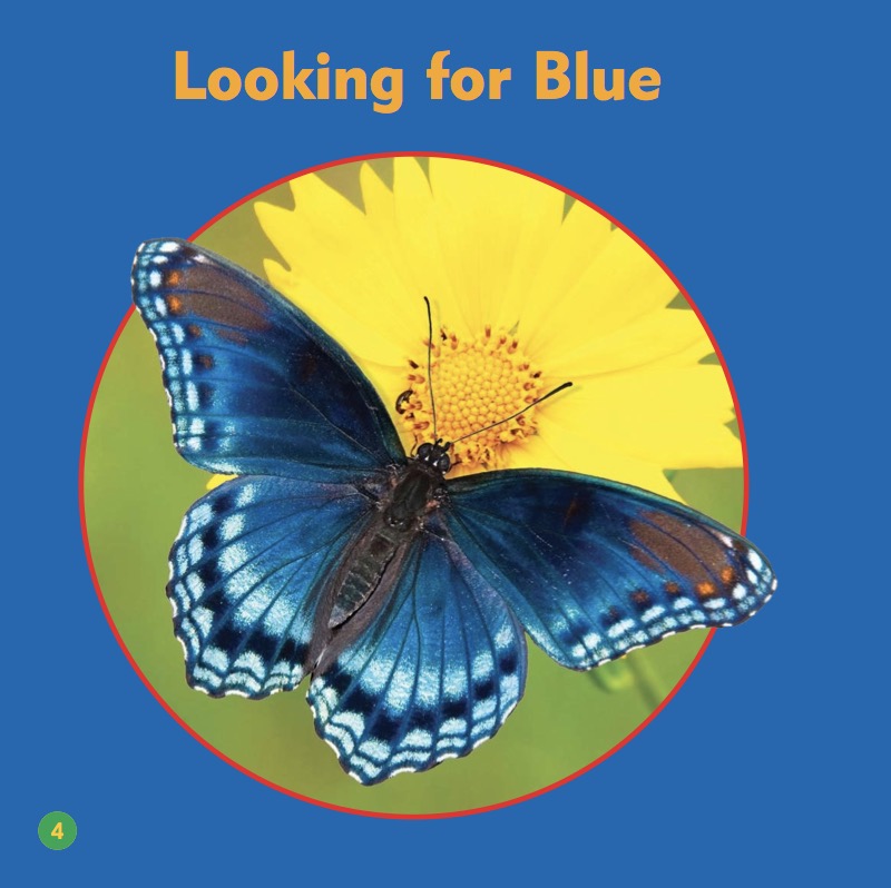 Colors In Nature: Blue — page 1