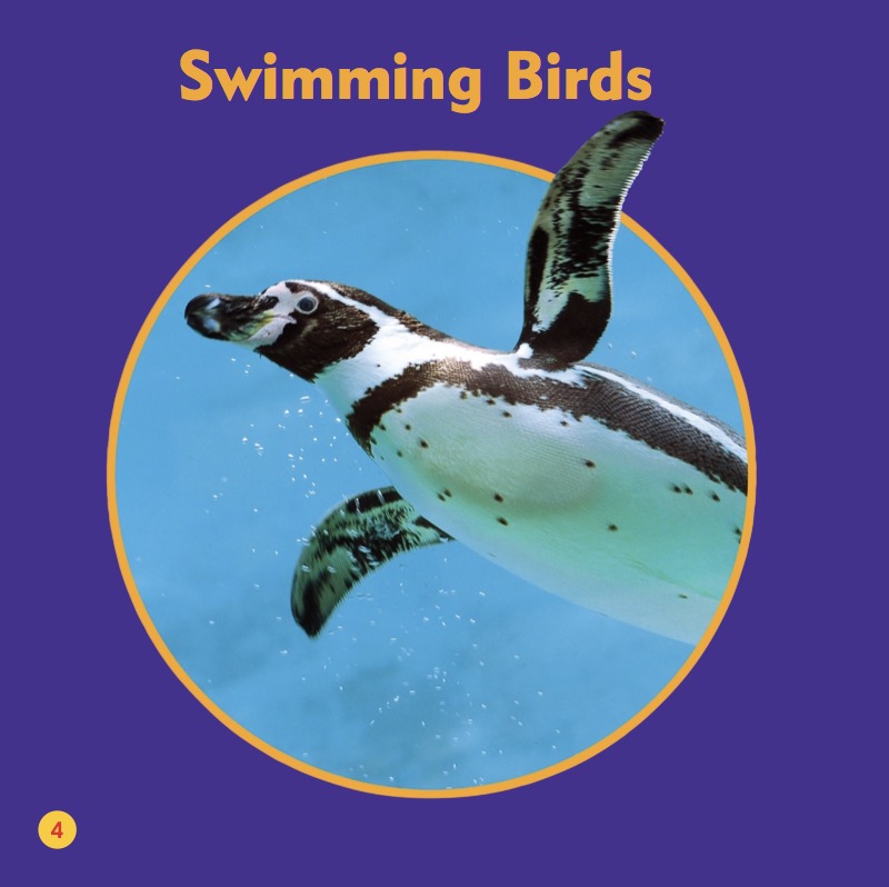 My First Animal Library: Penguins — page 1