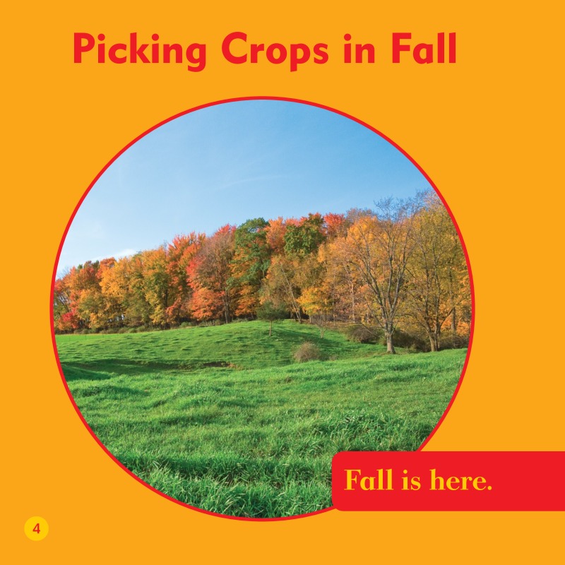 What Happens In Fall? Harvest In Fall — page 1