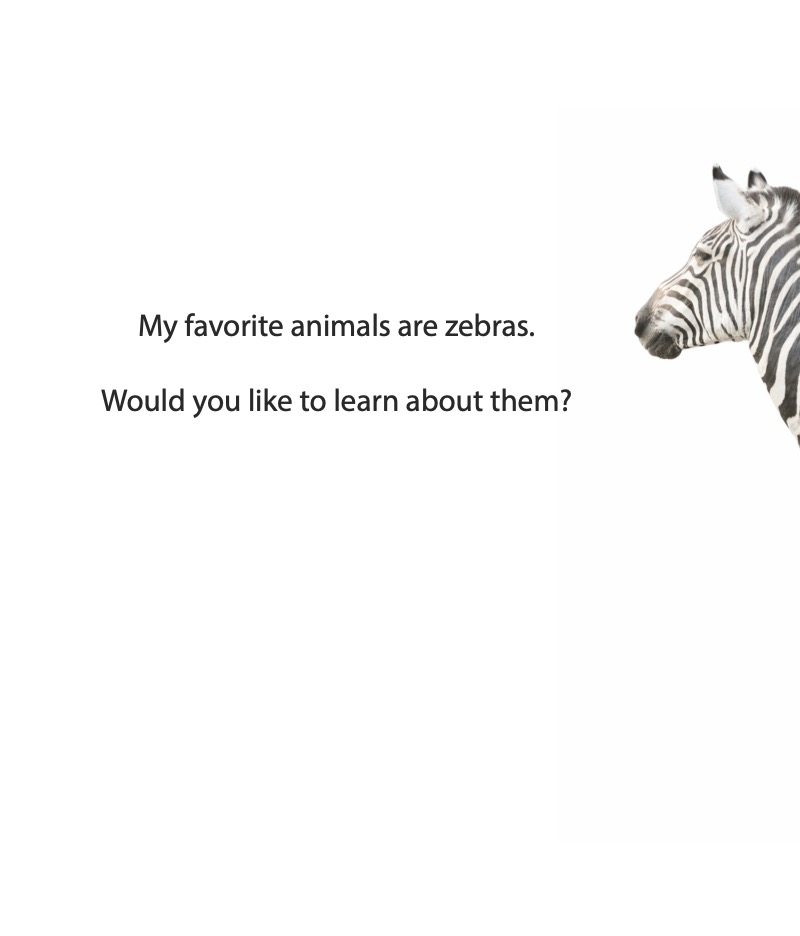 My Favorite Animal: Zebras — page 1