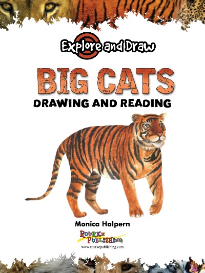 Explore And Draw: Big Cats book cover