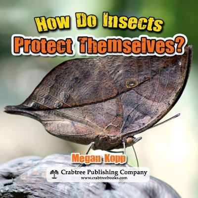 How Do Insects Protect Themselves? book cover