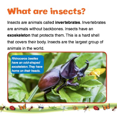 How Do Insects Protect Themselves? — page 1