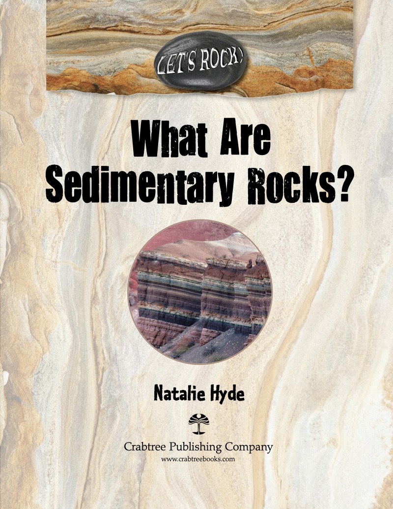 What Are Sedimentary Rocks? book cover