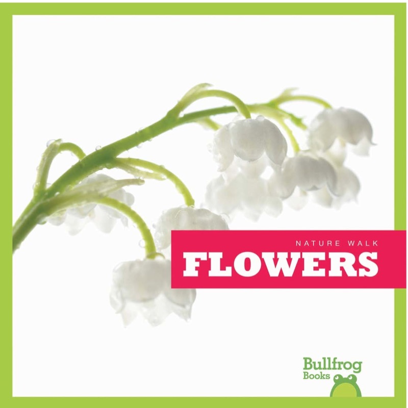 Flowers book cover