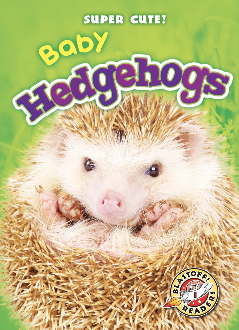 Super Cute! Baby Hedgehogs book cover