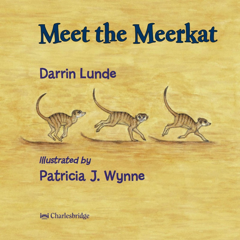 Meet the Meerkat book cover