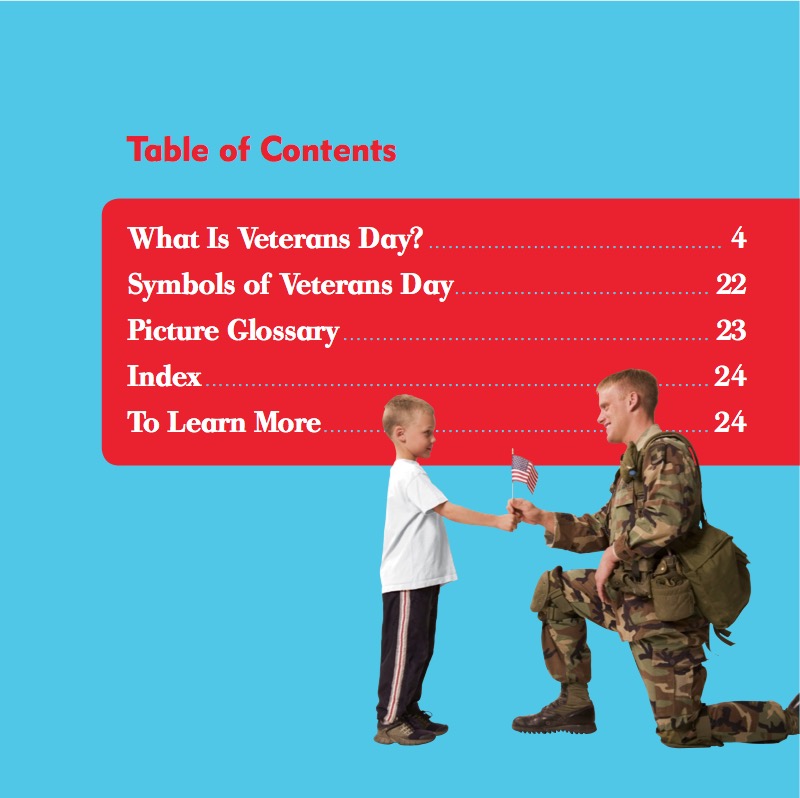 Holidays: Veterans Day book cover
