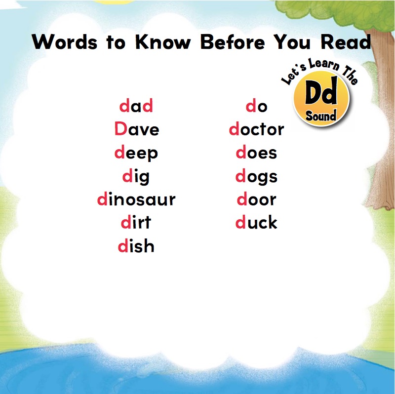 The Duck Doctor book cover