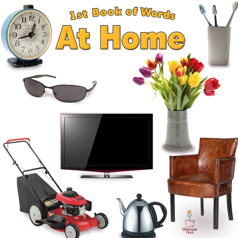 My First Words: At Home book cover