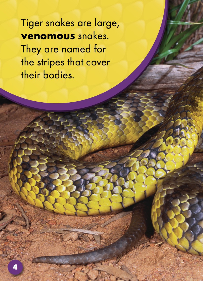 Tiger Snakes — page 1