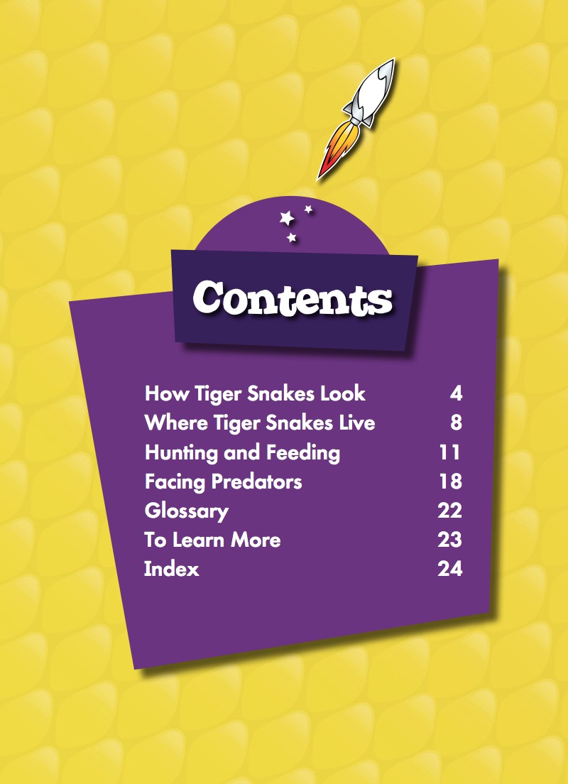Tiger Snakes book cover