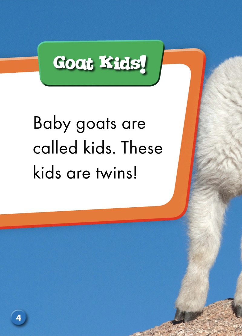 Super Cute! Baby Goats — page 1