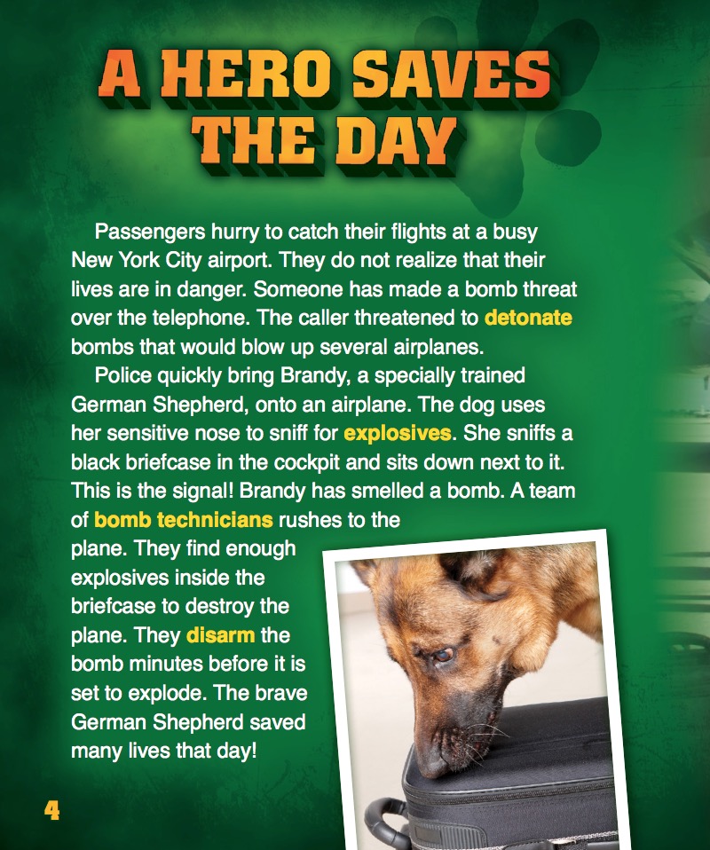 Bomb-Sniffing Dogs — page 1