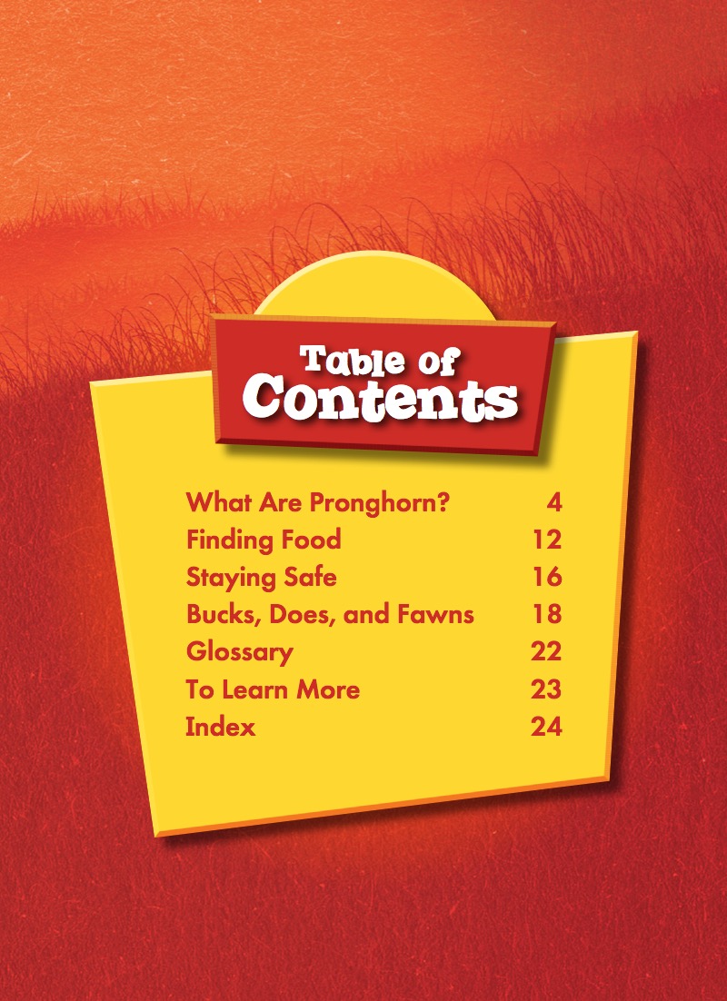 Pronghorn book cover