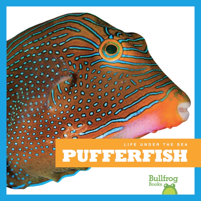 Life Under The Sea: Pufferfish book cover