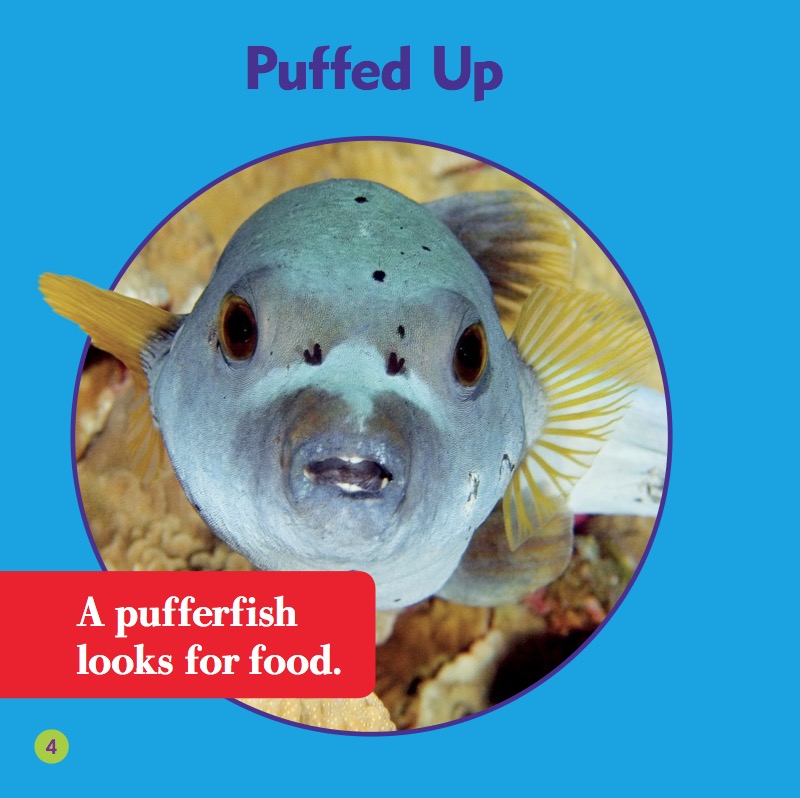 Life Under The Sea: Pufferfish — page 1