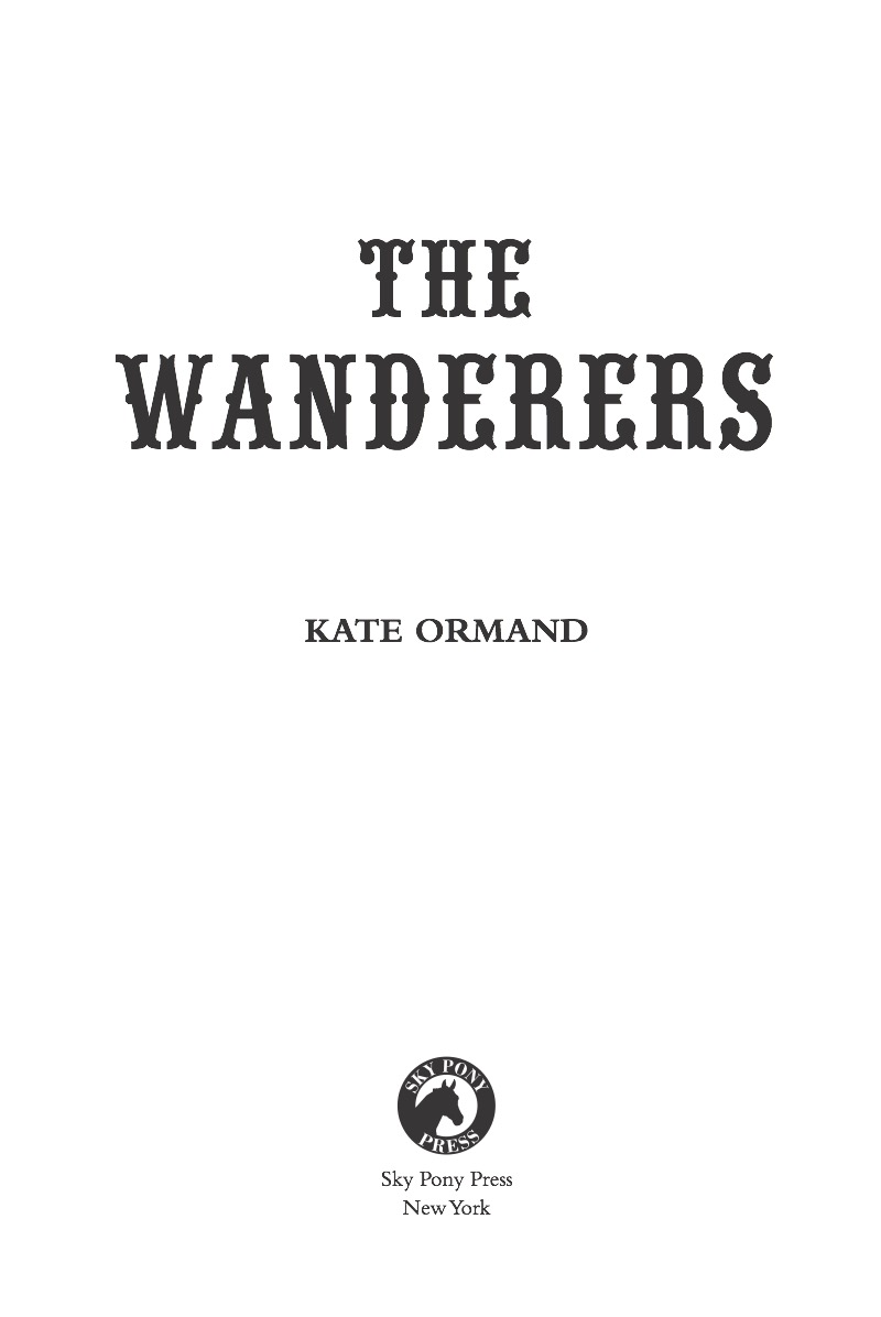 The Wanderers book cover