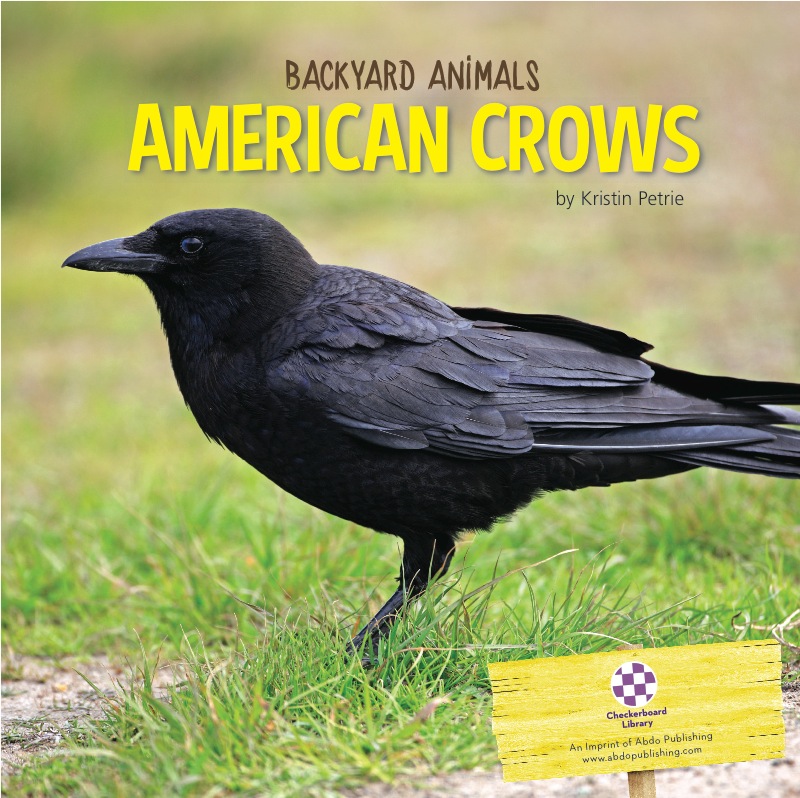 American Crows book cover