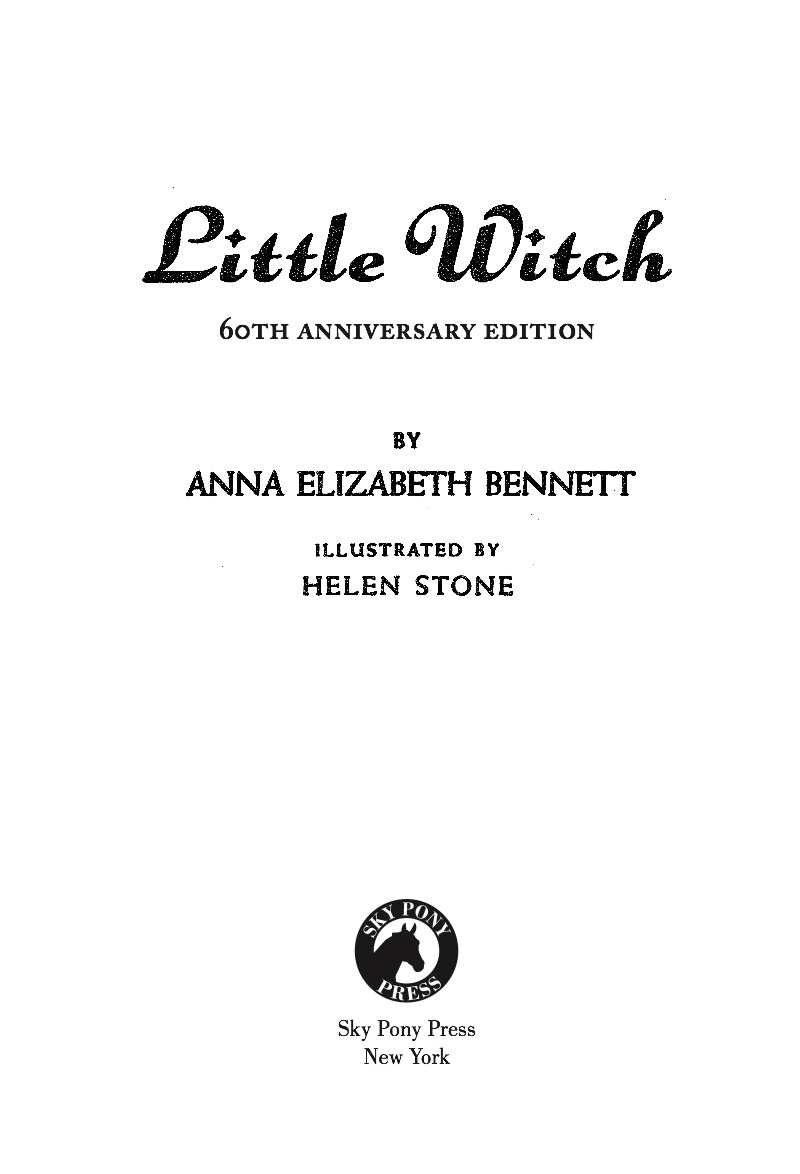 Little Witch book cover