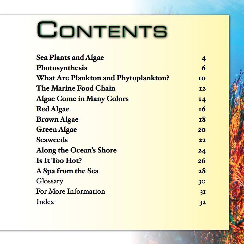 What Are Sea Plants and Algae? book cover