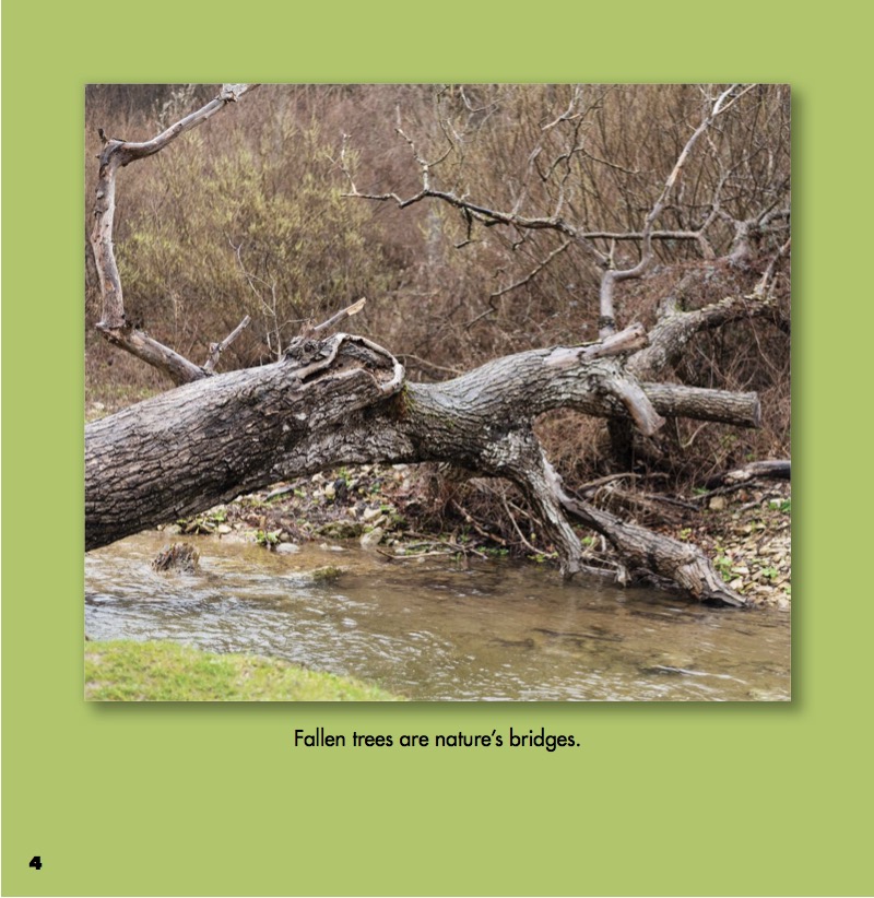 Bridges — page 1