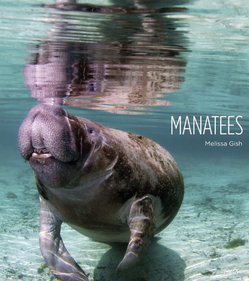 Manatees book cover