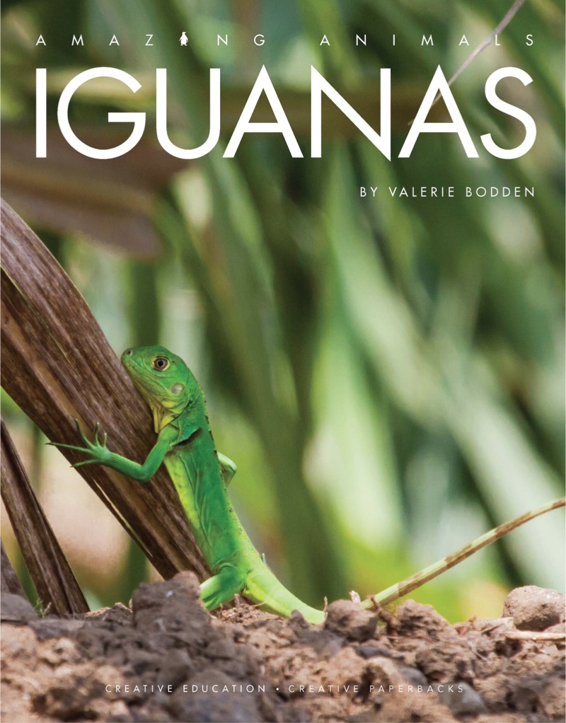 Iguanas book cover