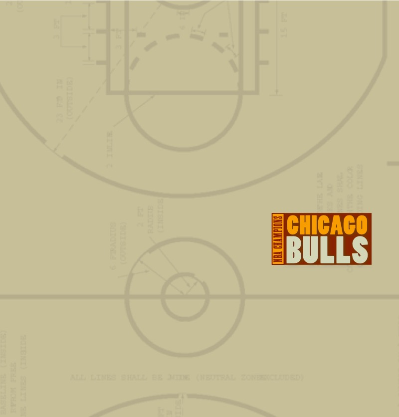 Chicago Bulls book cover