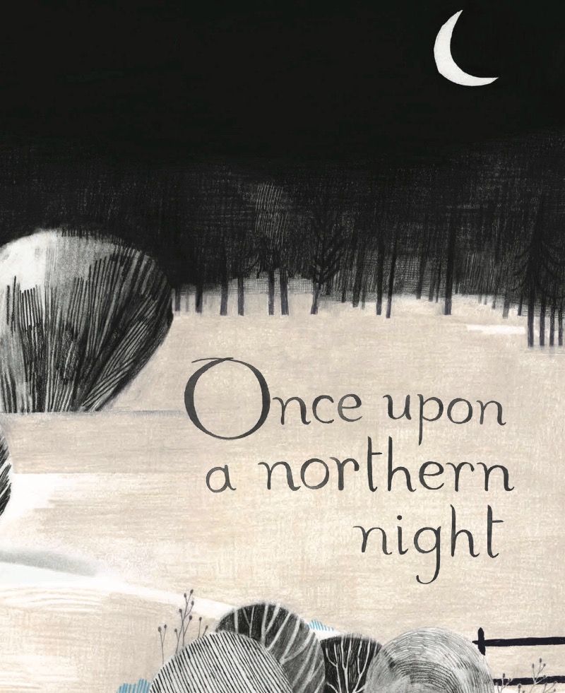 Once Upon a Northern Night book cover
