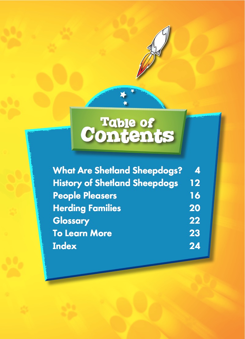 Awesome Dogs: Shetland Sheepdogs book cover