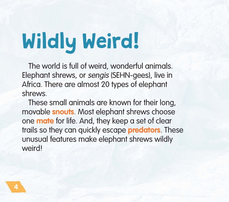 Elephant Shrews — page 1