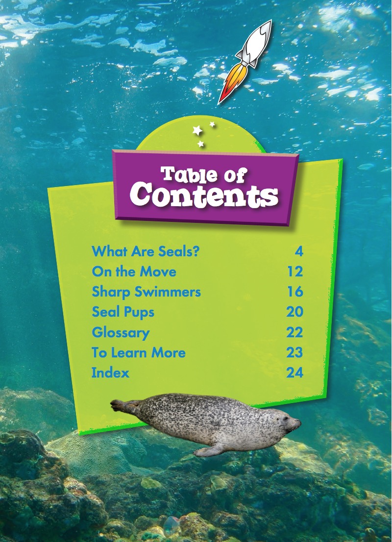 Ocean Life Up Close: Seals book cover