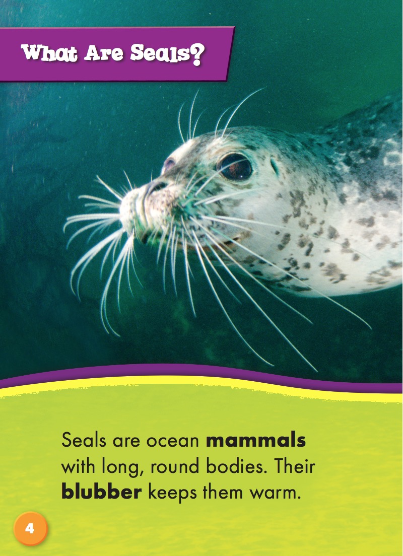 Ocean Life Up Close: Seals — page 1