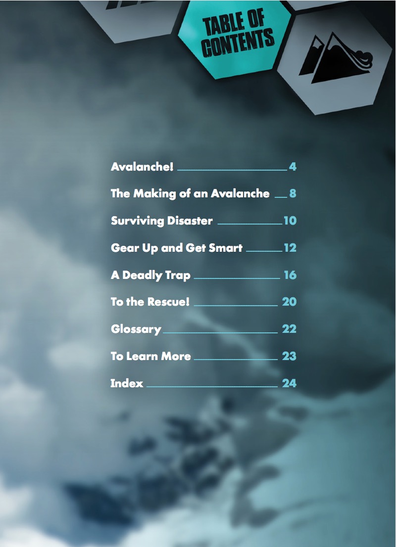 Survive an Avalanche book cover