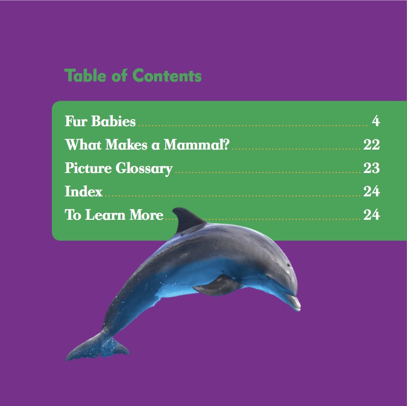 Animal Classification: Mammals book cover